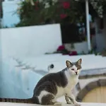 Daire Blue And White Aura Santorini Traditional House Megalochori (Santorini)
