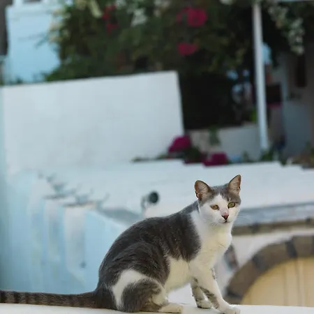 شقة Blue And White Aura Santorini Traditional House ميغالوخوري